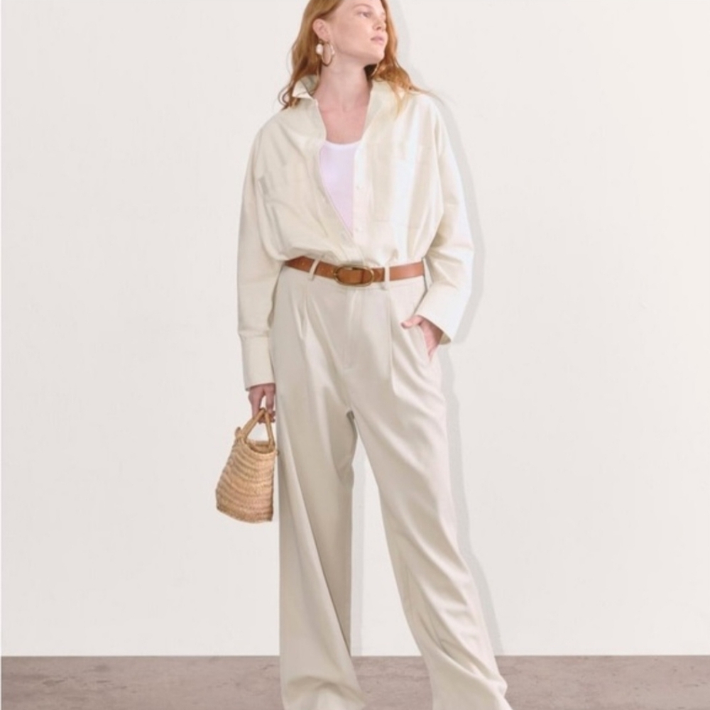 Everlane The Draper Pleated Pant Sz 10s